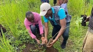 1. Climate Adaptation and Resilience